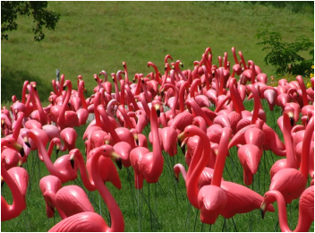 How the pink plastic lawn flamingo became an American cultural icon - Vox